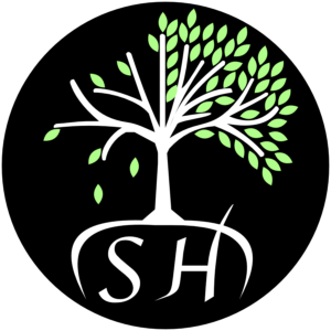 Schuster Haarchirurgie Hamburg